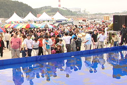 自然産ヒラメ鯛祭り