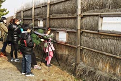 舒川渡り鳥の旅情