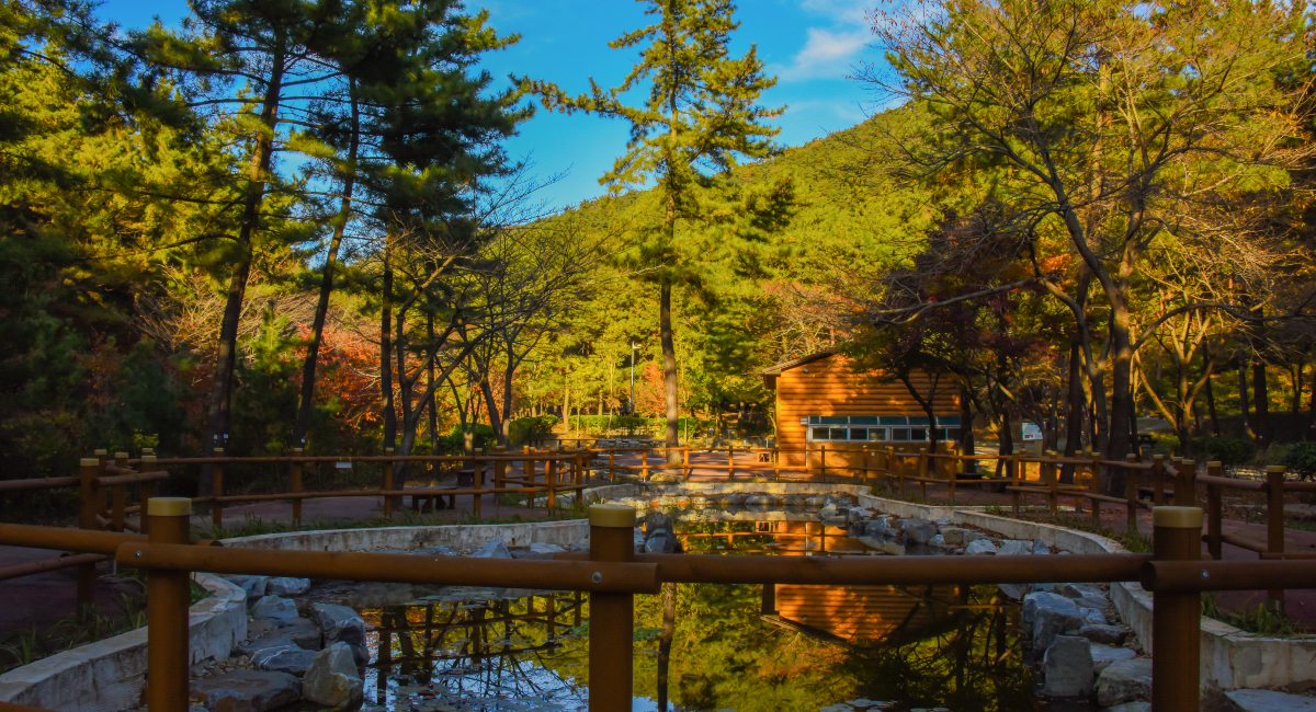 희리산자연휴양림 (5)